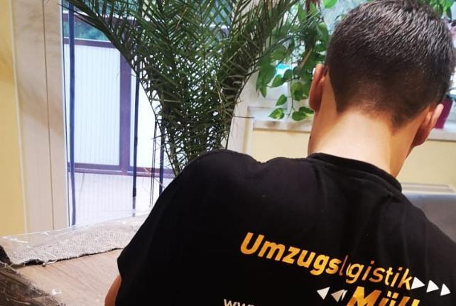 Preise für Ihren Studentenumzug in Quitzdorf am See